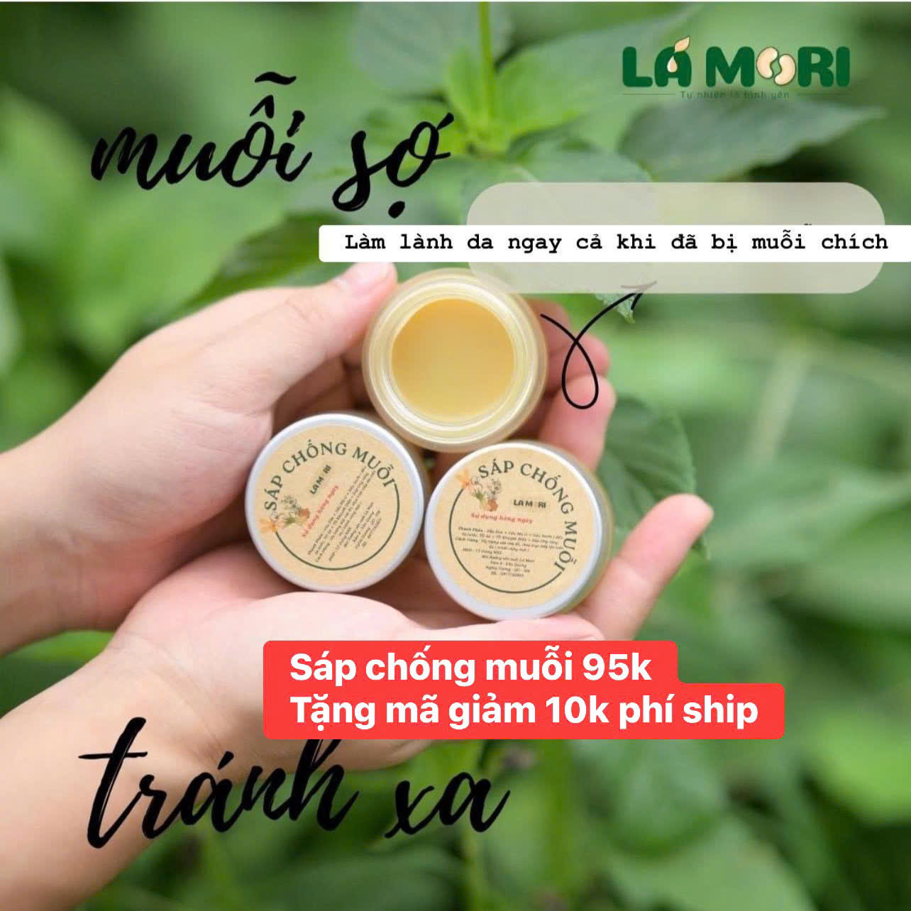 Sản phẩm hữu cơ 23